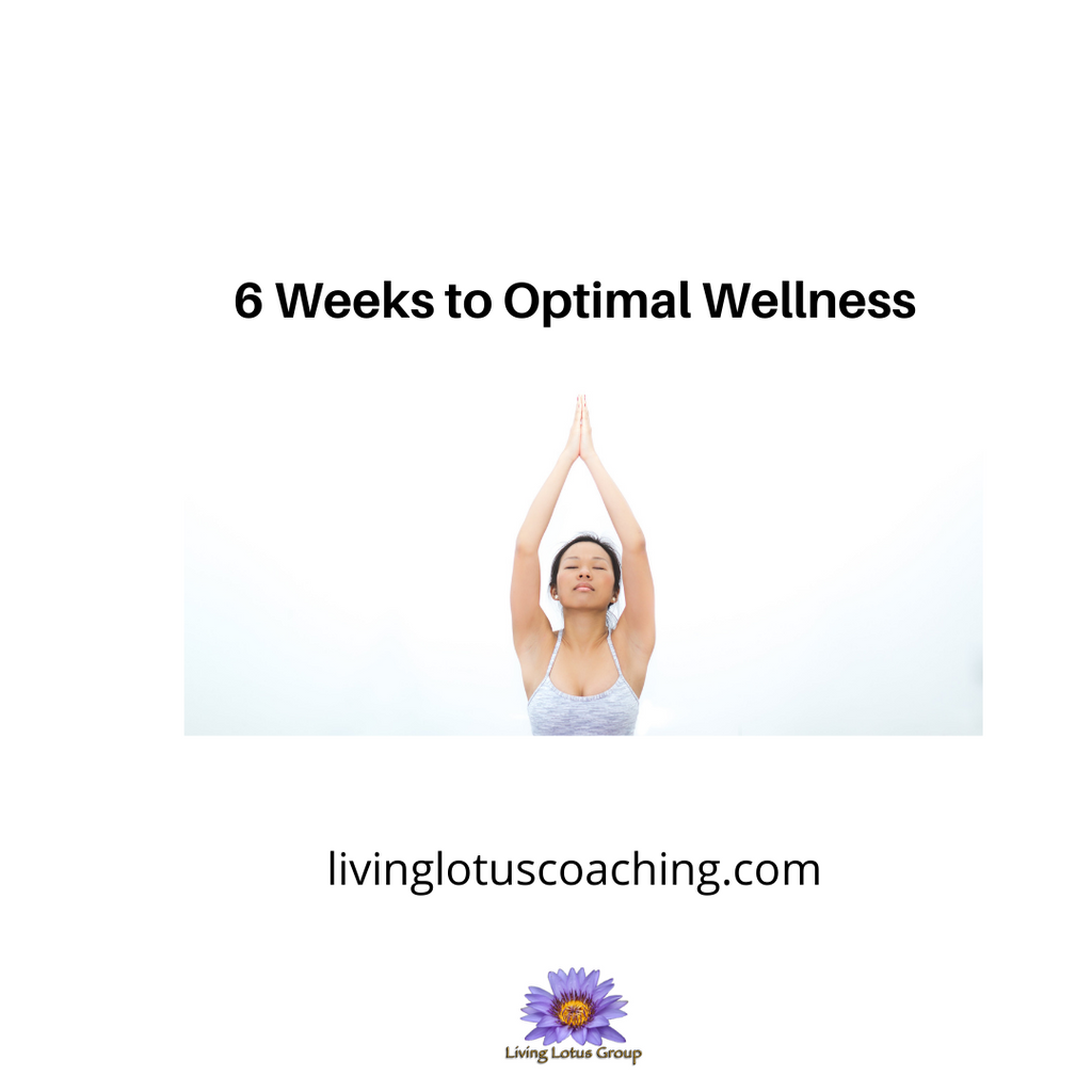 Optimal Wellness - 6 Week Program