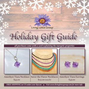 Holiday Gift Guide