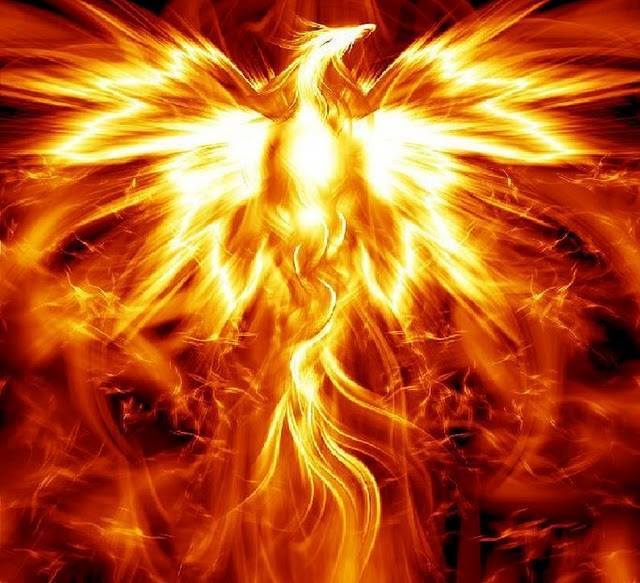 Are you the Phoenix or the Dove?