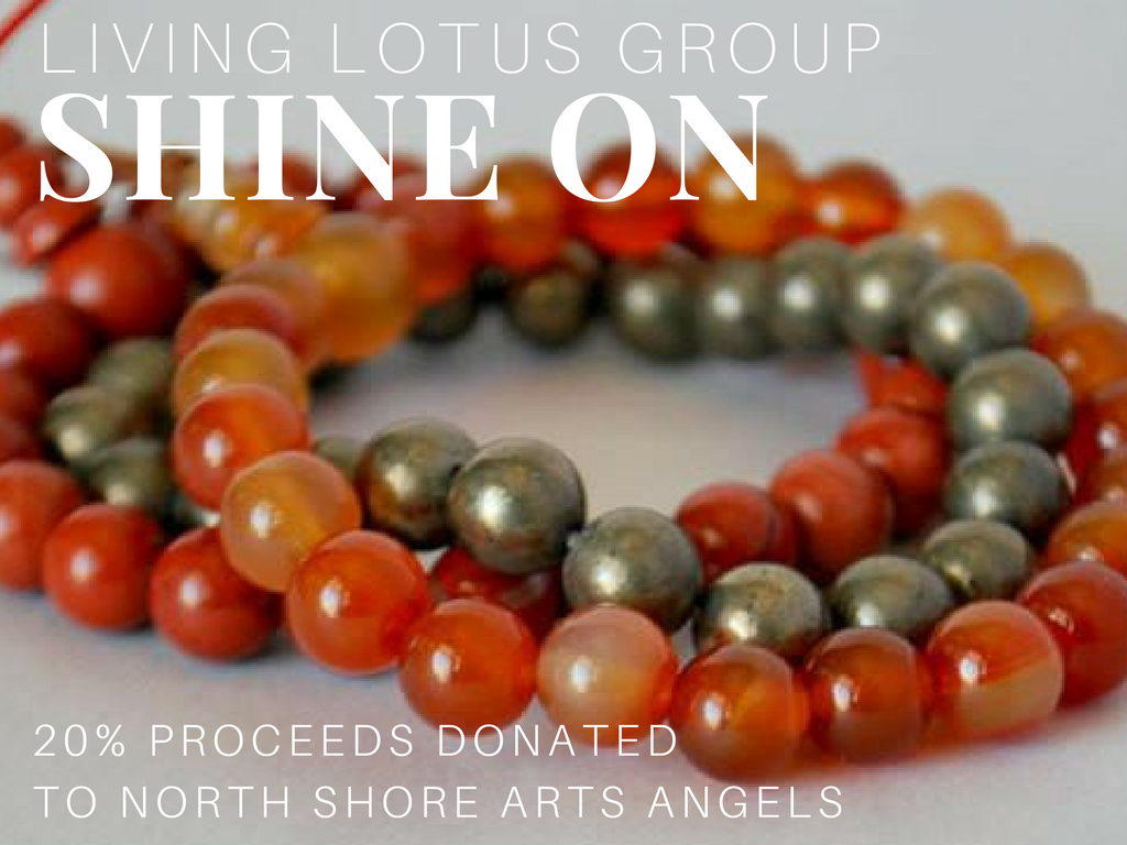 Purchase with a Purpose~ September 2016