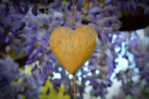 February 2015 Newsletter