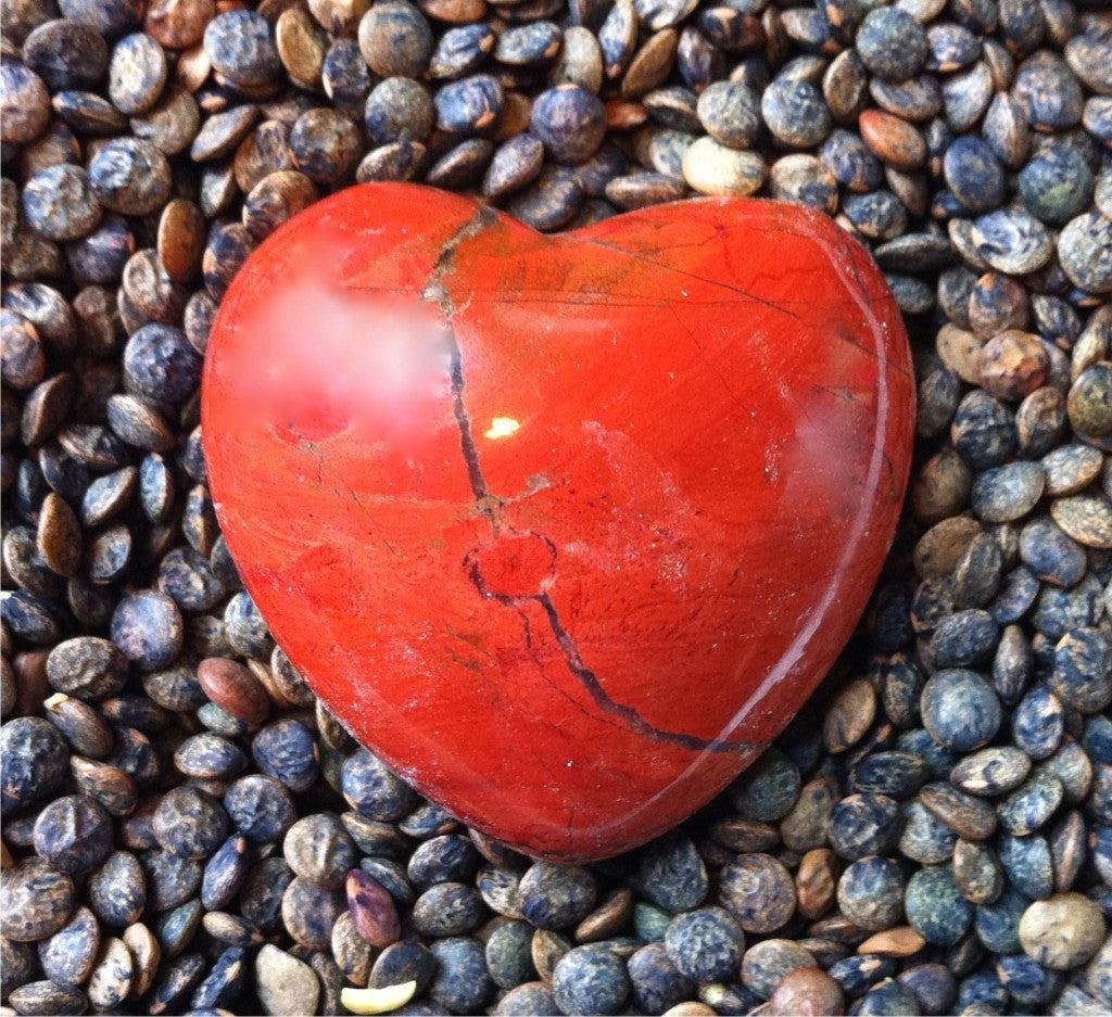 February Newsletter
