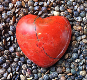 February Newsletter