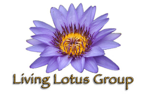 Gift Card $50.00, perfect gift, easy to use